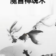 魔音神魂術 魔音神魂術