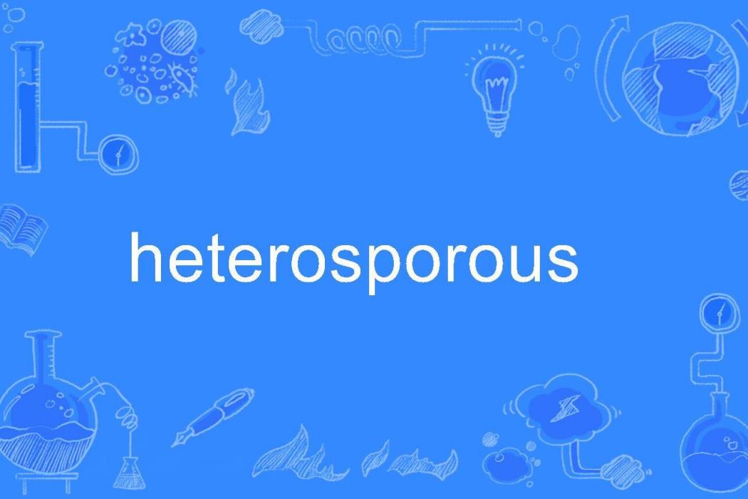 heterosporous heterosporous