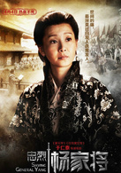 忠烈楊家將(2013年電影)