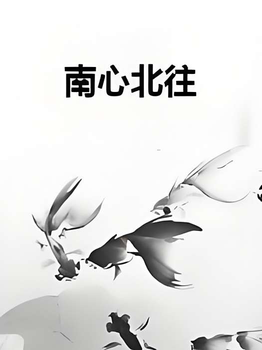 南心北往