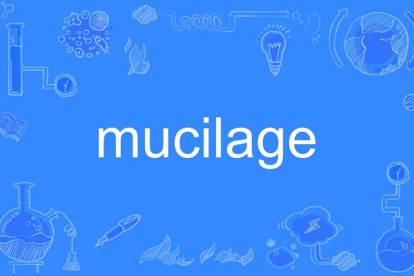 mucilage mucilage