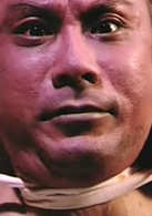 感官新世界