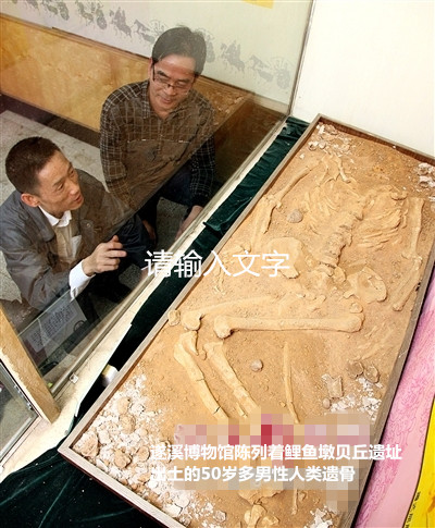 鯉魚墩貝丘遺址出土的50歲多男性人類遺骨