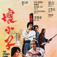 壞小子(1980年李榮章執導電影) 壞小子(1980年李榮章執導電影)