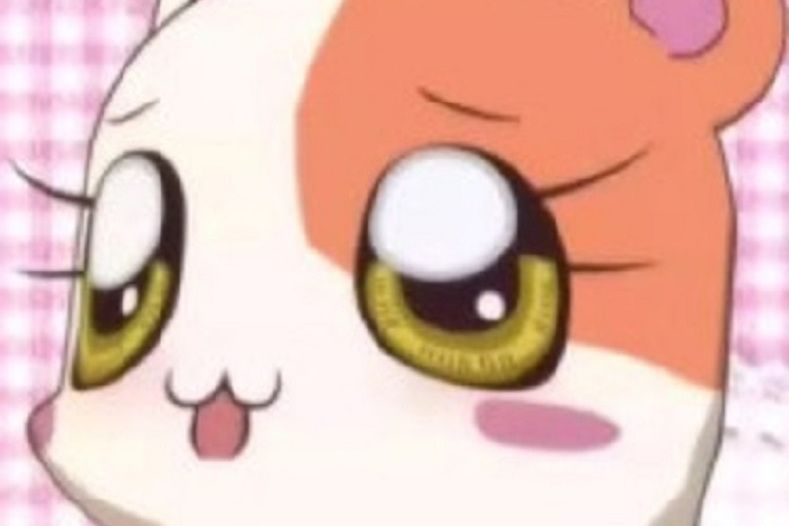 小迷迷 小迷迷