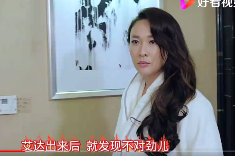 艾達(動作罪案劇《功夫戰警》中的角色) 艾達(動作罪案劇《功夫戰警》中的角色)