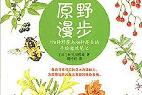 原野漫步 原野漫步