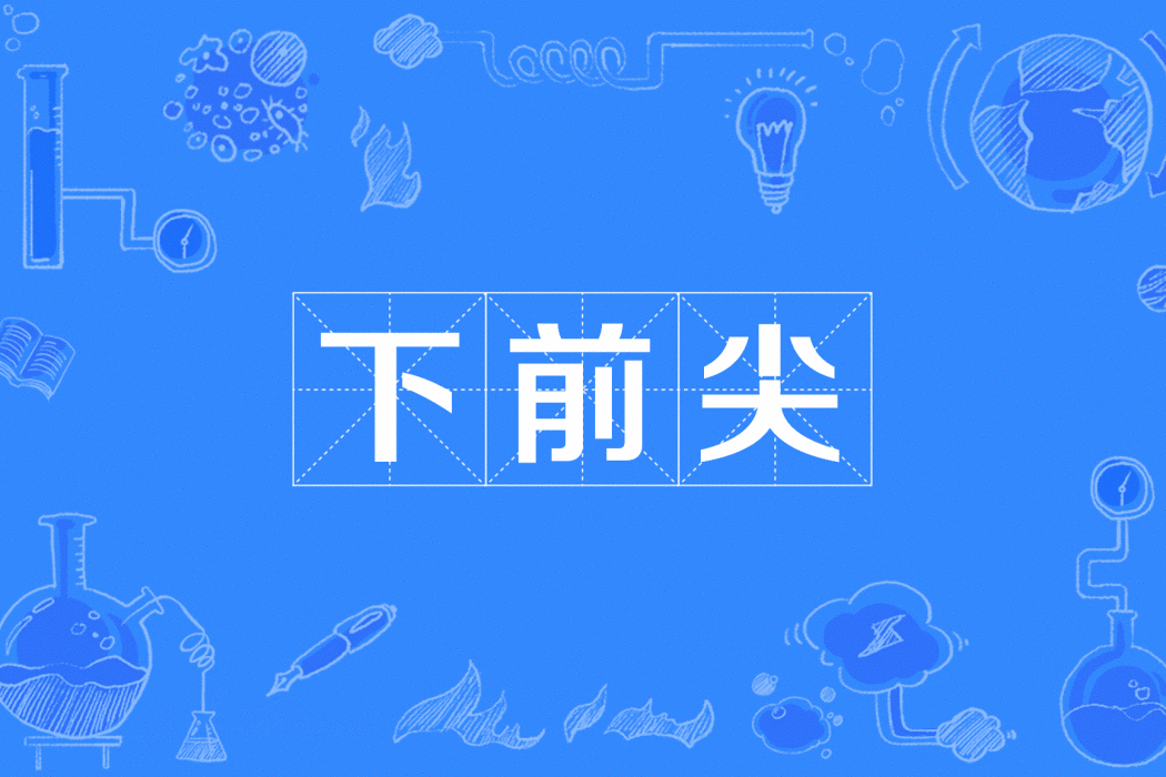 下前尖 下前尖