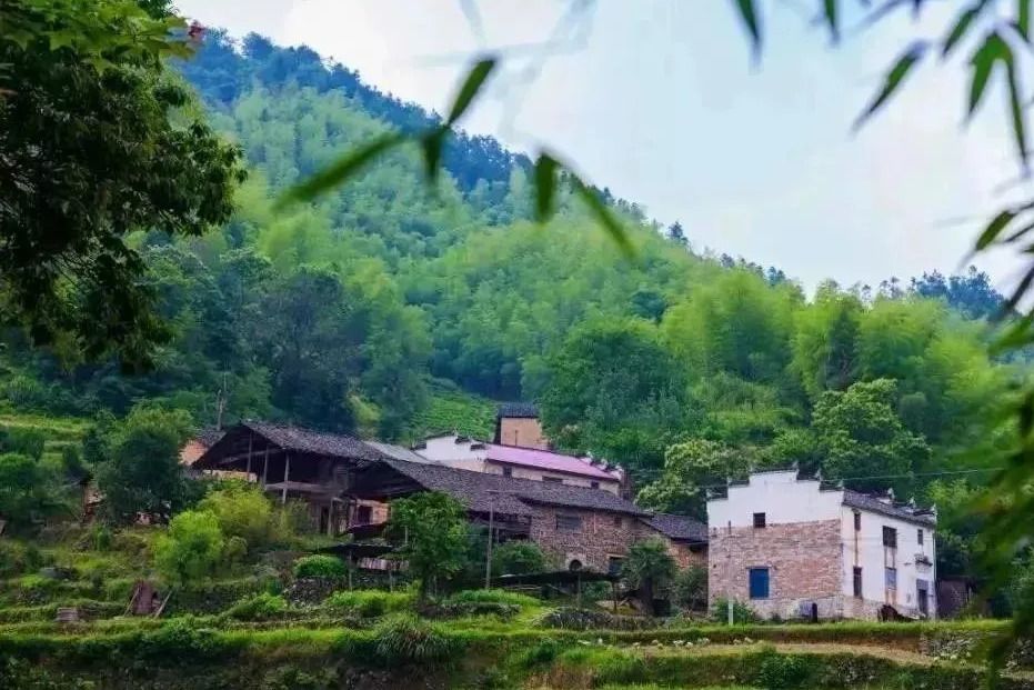 仁宗坑村 仁宗坑村