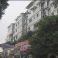 校園春天 校園春天