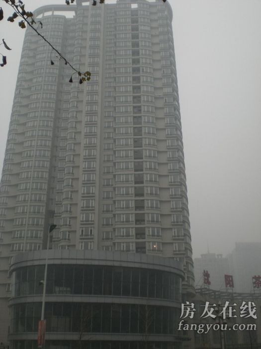 摩根凱利 摩根凱利