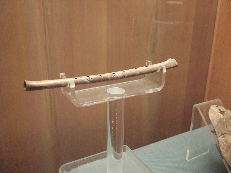 舞陽縣出土的7700年前骨笛 譽為中華第一笛