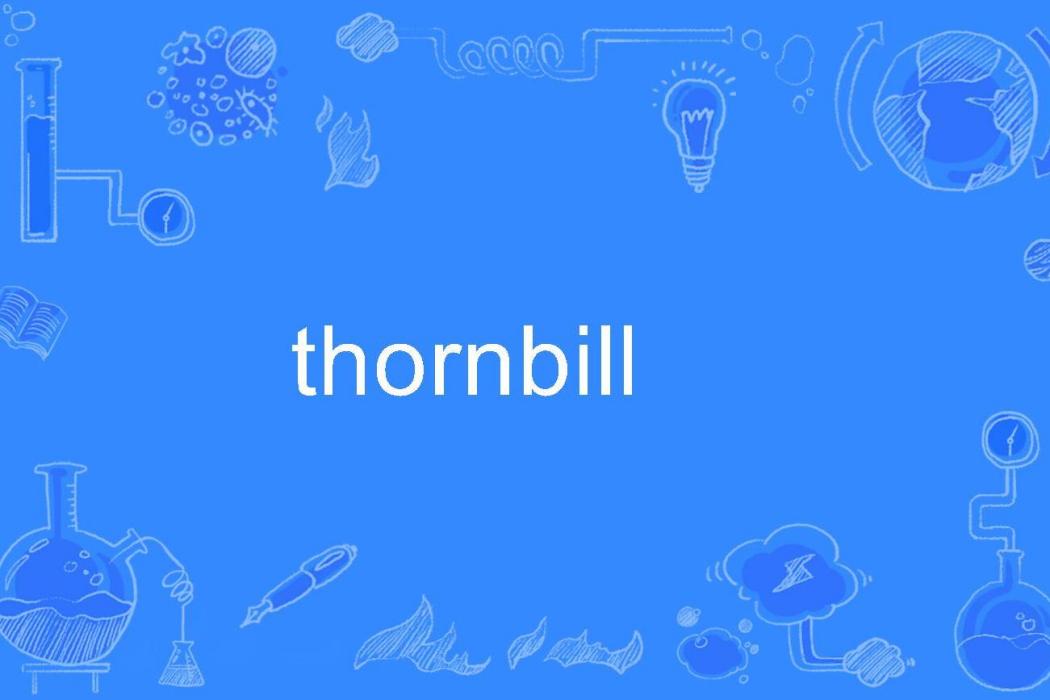 thornbill thornbill