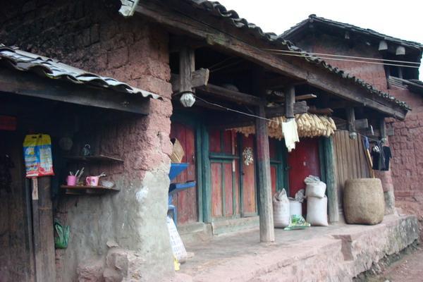 慢竜村 慢竜村
