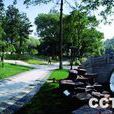 沙洲公園 沙洲公園