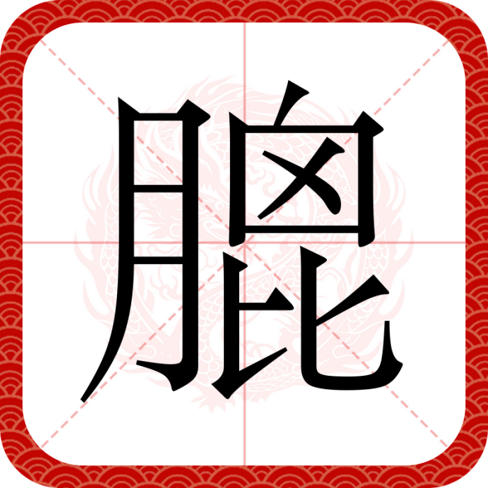 膍 膍