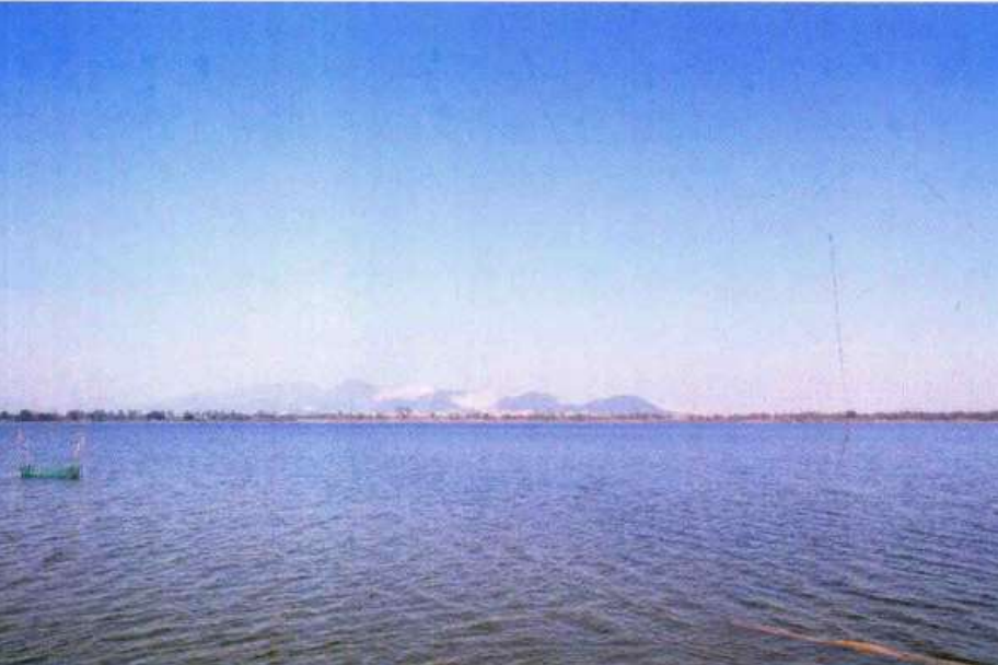 楊賽湖 楊賽湖