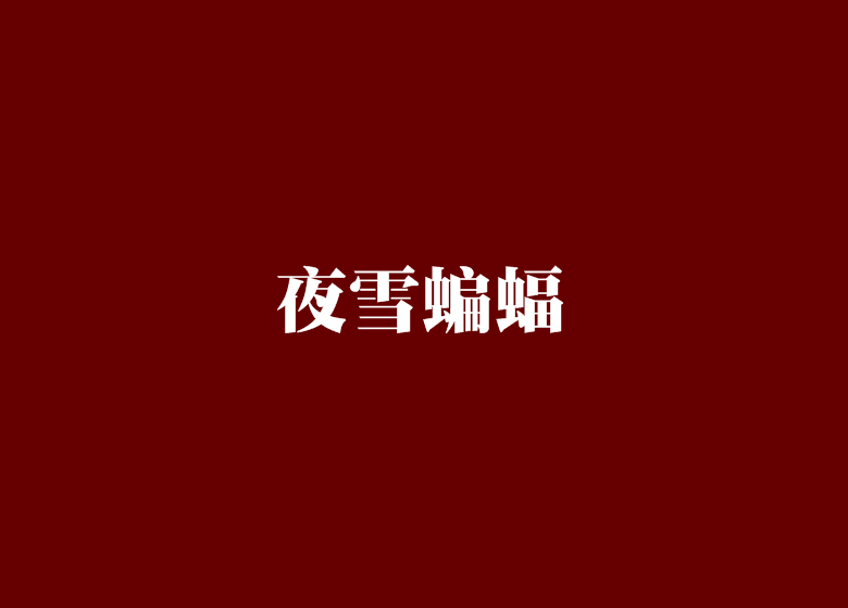 夜雪蝙蝠 夜雪蝙蝠