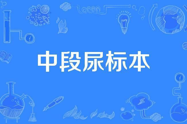 中段尿標本 中段尿標本