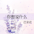 你想說什麼 你想說什麼