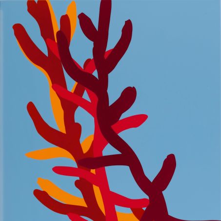 MARKUS WEGGENMANN