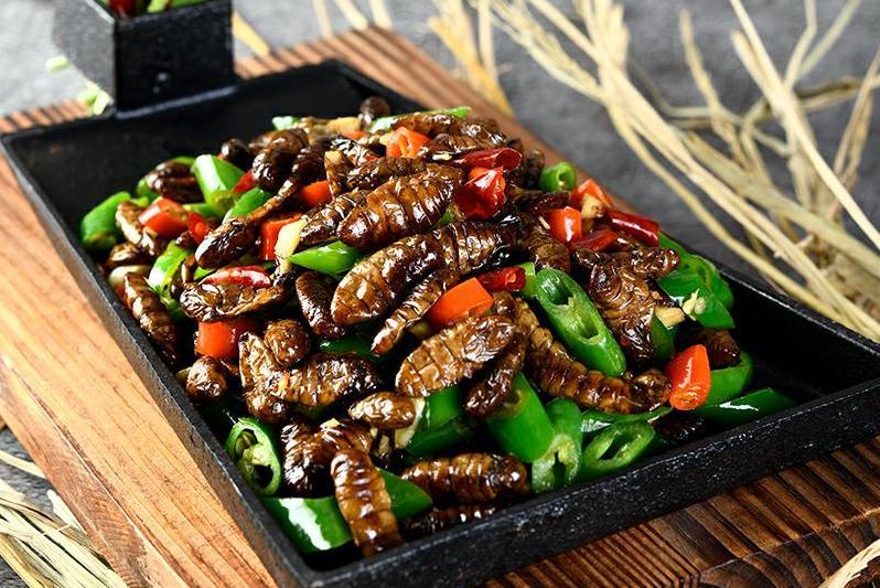 蒸煮蠶蛹 蒸煮蠶蛹