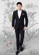 一粒紅塵(2017年吳奇隆穎兒主演的電視劇)