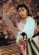 詠春(1993年楊紫瓊主演電影) 詠春(1993年楊紫瓊主演電影)