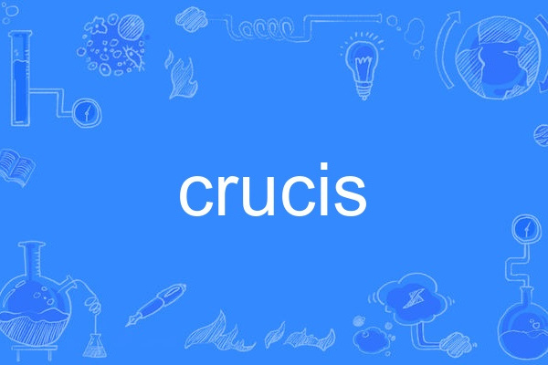 crucis crucis