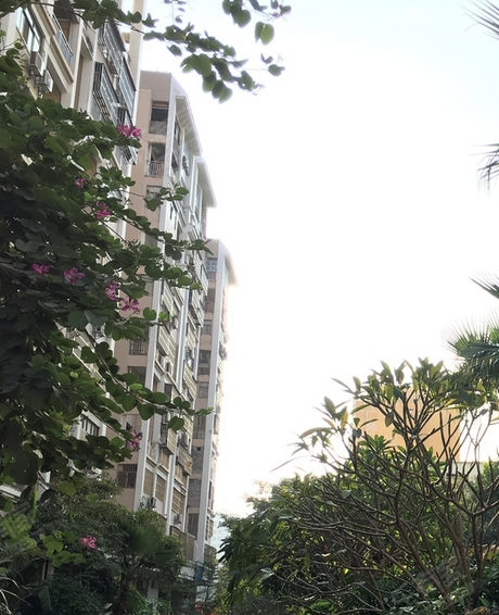 翡翠嘉園 翡翠嘉園