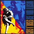 運用你的幻想(USE YOUR ILLUSION)