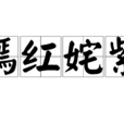 嫣紅奼紫 嫣紅奼紫