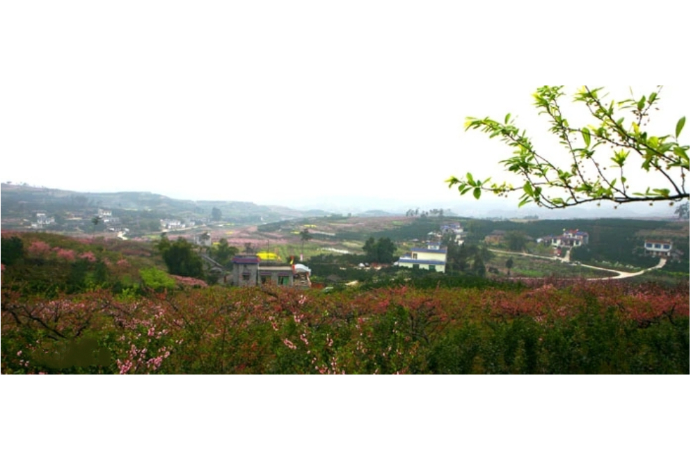 曲沿村 曲沿村