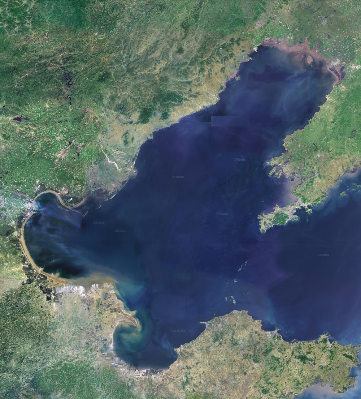 渤海衛星圖