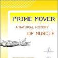 Prime Mover Prime Mover