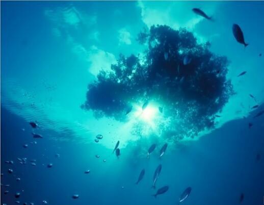 河口環流 河口環流
