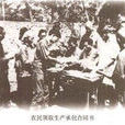 家庭承包經營 家庭承包經營