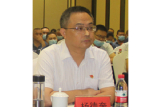 楊德奎(四川美豐職工董事) 楊德奎(四川美豐職工董事)