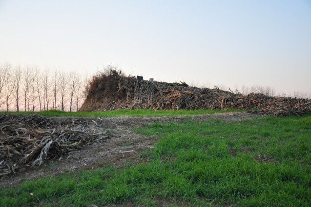 羅莊城遺址 羅莊城遺址