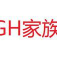 GH家族 GH家族