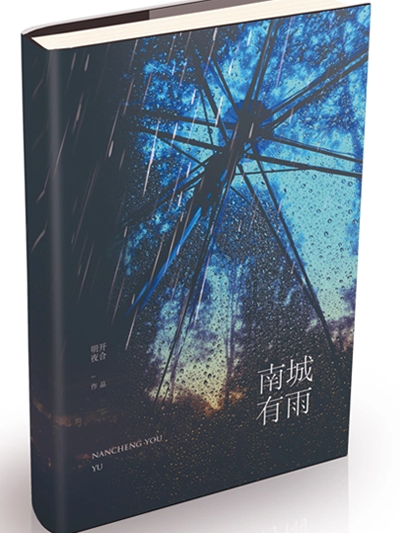 南城有雨 南城有雨