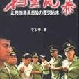 掃黑風暴(圖書) 掃黑風暴(圖書)
