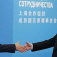 中俄關於全面戰略協作夥伴關係新階段的聯合聲明