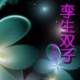 孿生雙子(小說) 孿生雙子(小說)