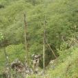 多底河村 多底河村