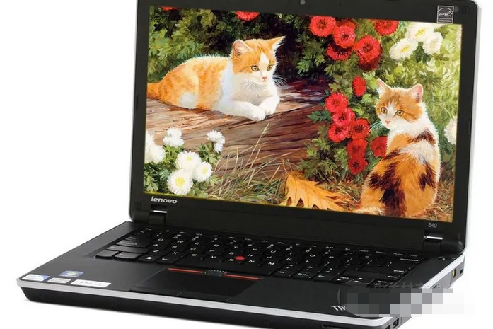聯想ThinkPad E40 0199A13 聯想ThinkPad E40 0199A13