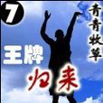 王牌歸來(起點中文網小說)