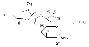 鹽酸林可黴素