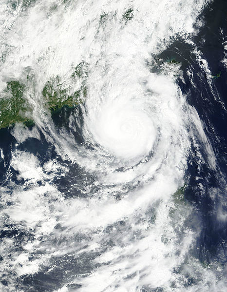 強熱帶風暴蓮花 衛星雲圖