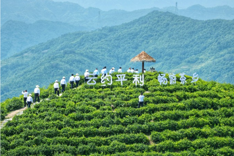 蔣家坪村(陝西省安康市平利縣老縣鎮下轄村) 蔣家坪村(陝西省安康市平利縣老縣鎮下轄村)